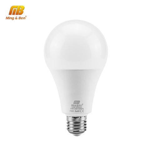 LED Bulb Lamps E27 E14 220V Light Bulb Smart
